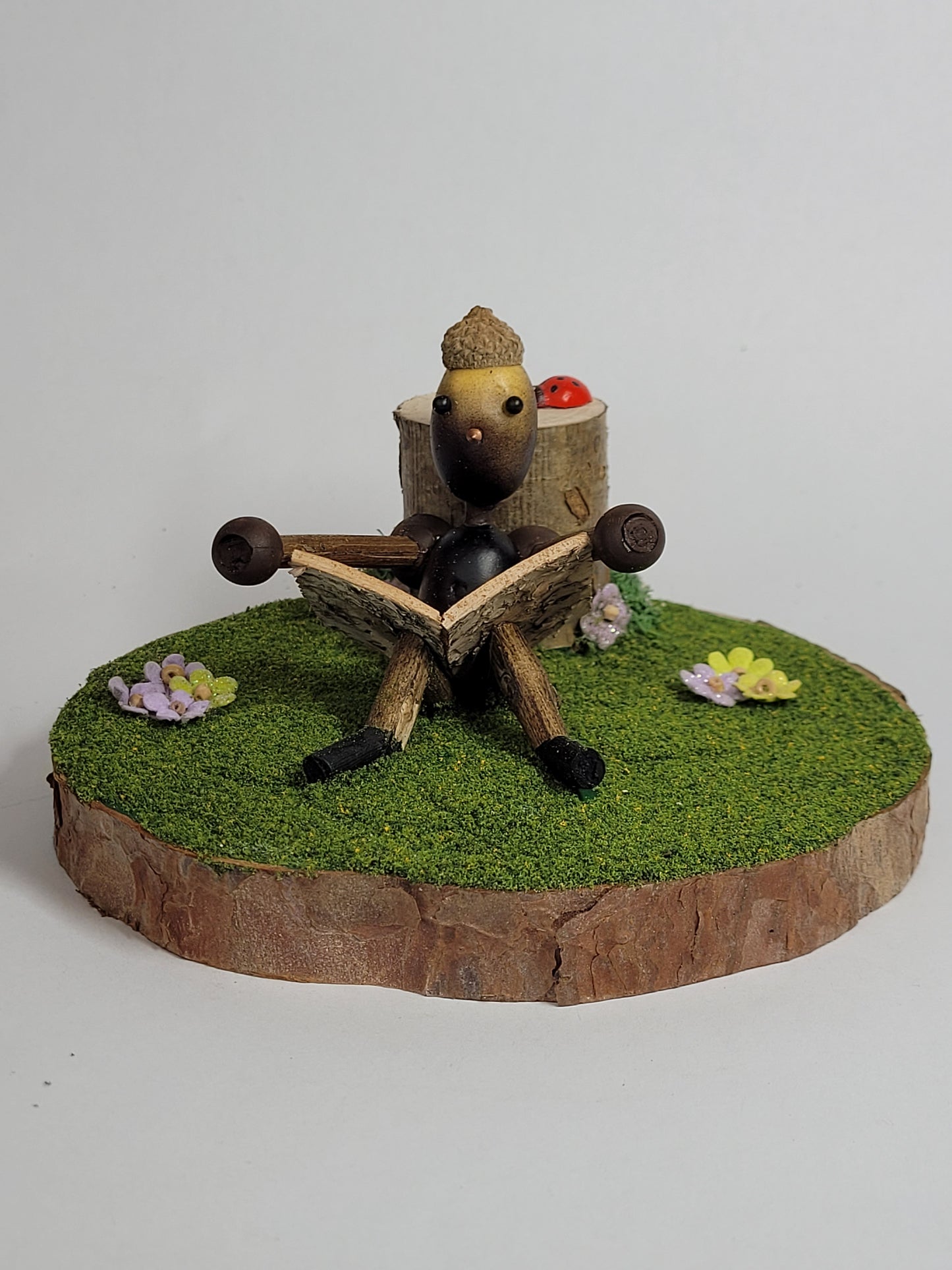 Acorn Reader