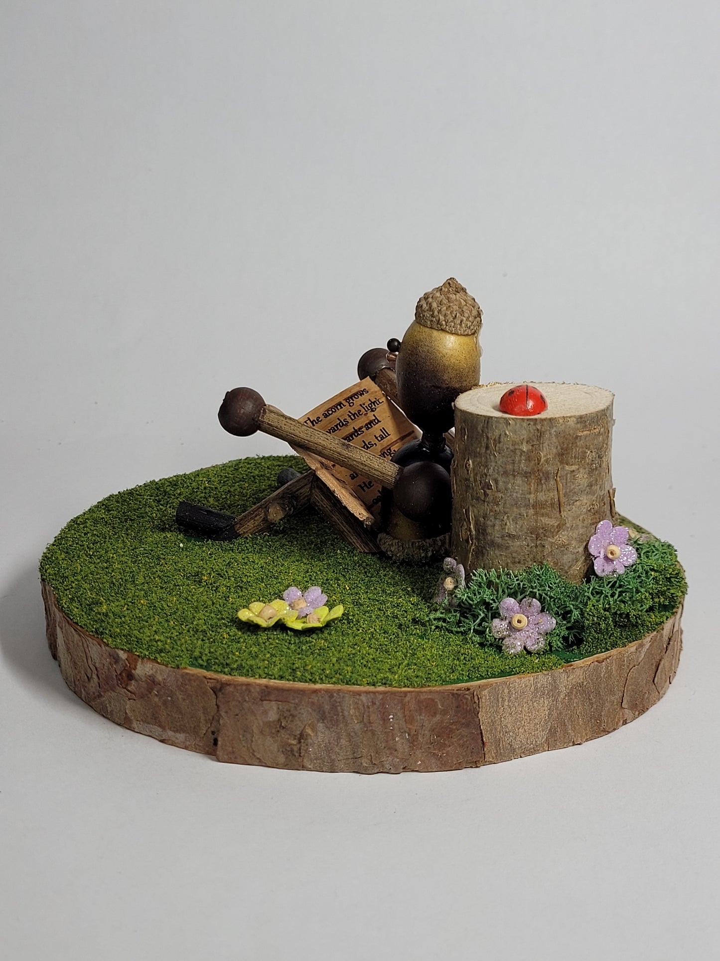 Acorn Reader