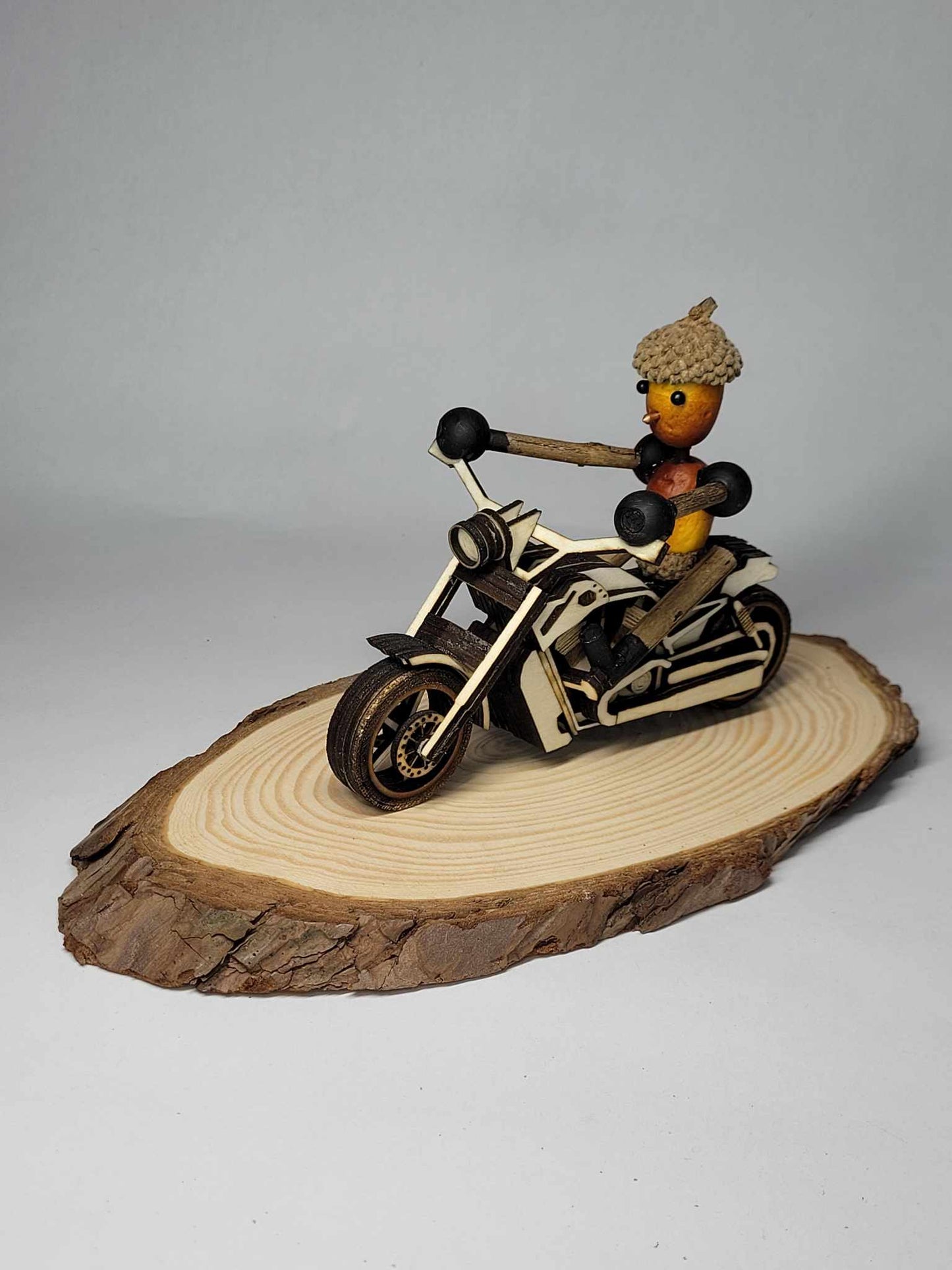 Acorn Motorcyclist