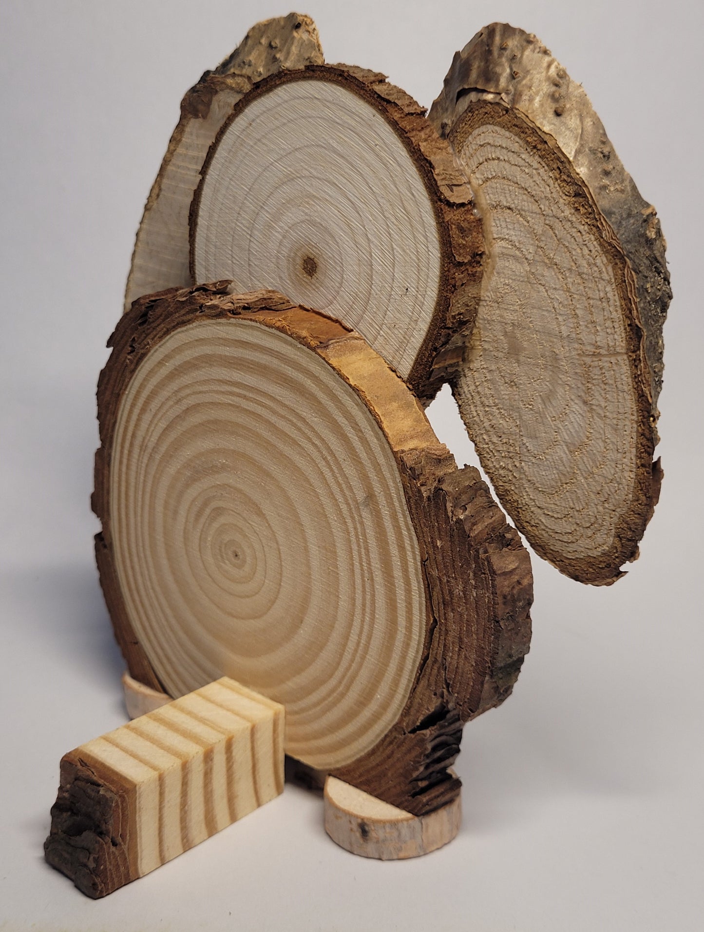 Wooden Dog